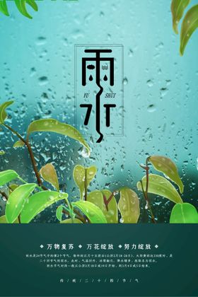 节气海报雨水飞机稿雨水单图雨水单片