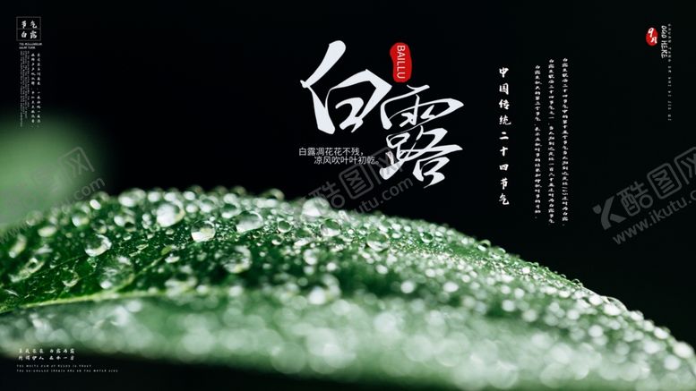 编号：54195809222108403102【酷图网】源文件下载-白露