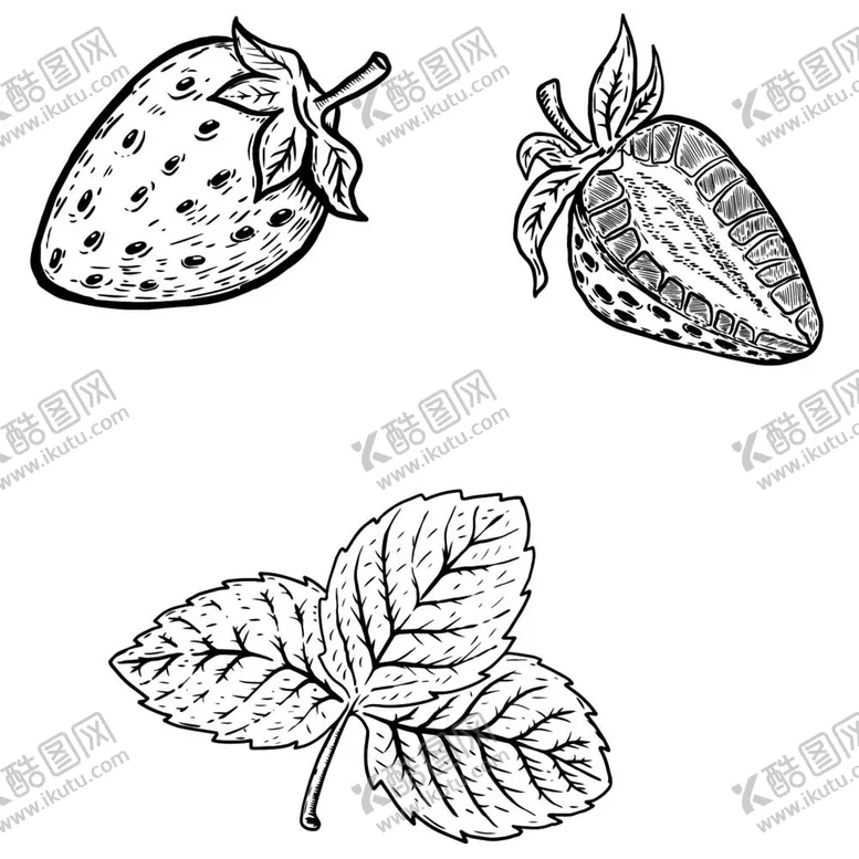 编号：83213012050819152225【酷图网】源文件下载-草莓