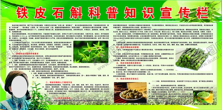 编号：77696310160212318700【酷图网】源文件下载-铁皮石斛宣传栏