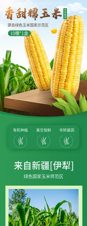 玉米产品详情页