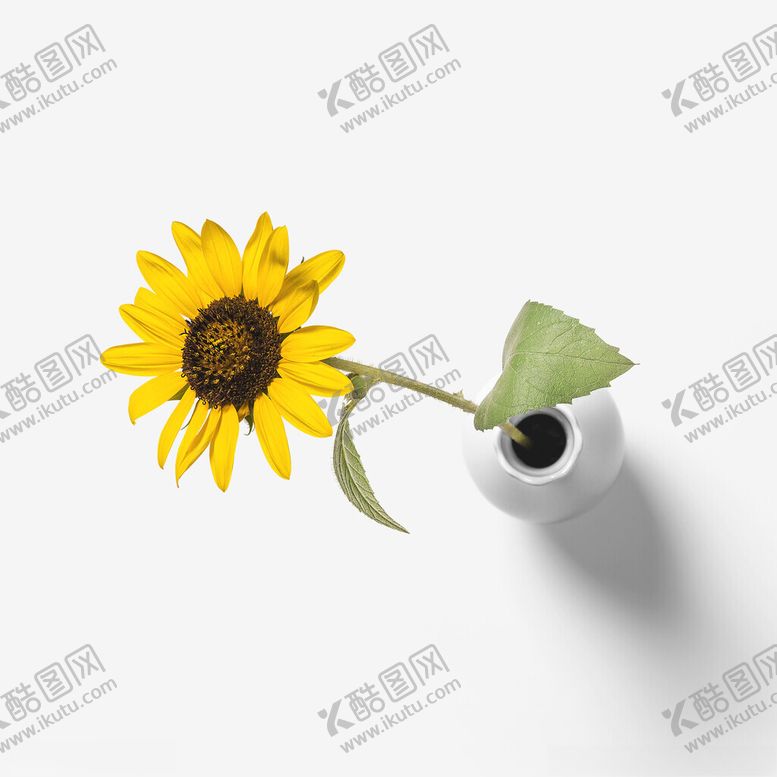 编号：58224502201451504977【酷图网】源文件下载-向日葵