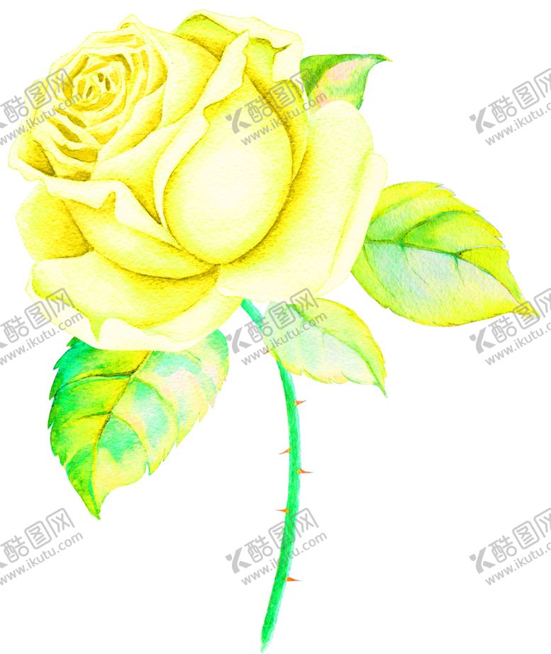 编号：18567209240322482591【酷图网】源文件下载-花素材