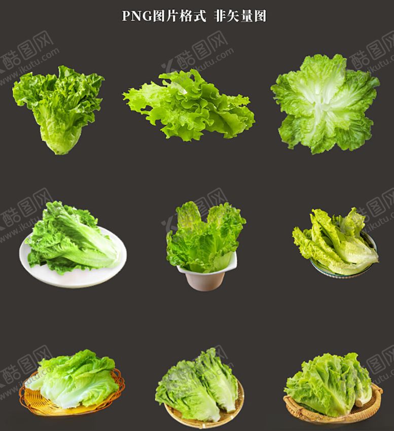 编号：14553004031144474509【酷图网】源文件下载-生菜素材