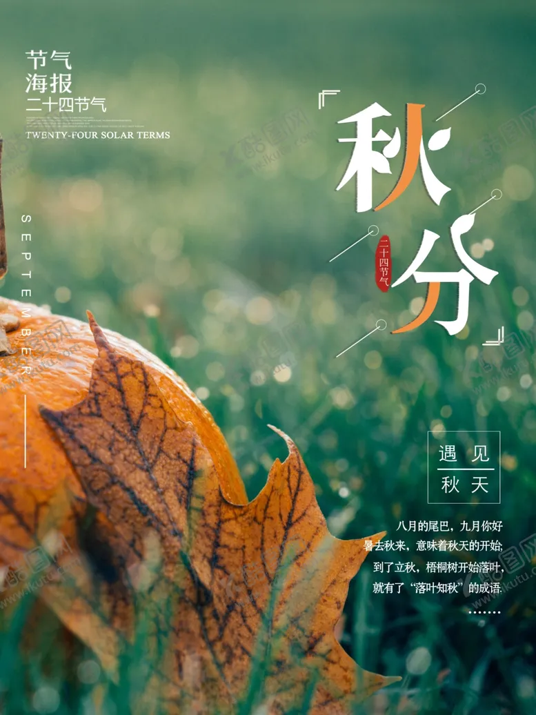 编号：49528506250112352258【酷图网】源文件下载-秋分海报