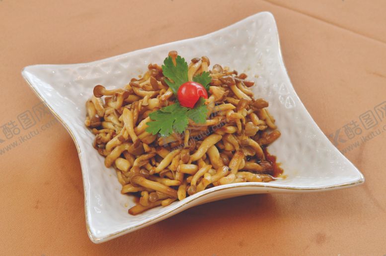 编号：73286709280140538556【酷图网】源文件下载-家常菜美食