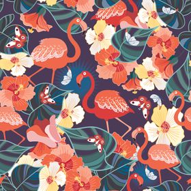 国风花鸟插画