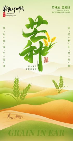 芒种海报