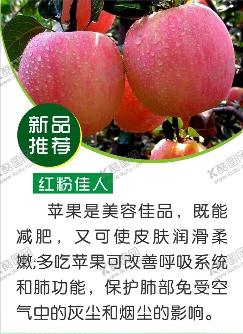 编号：24090906280334315807【酷图网】源文件下载-红粉佳人苹果