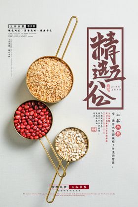 杂粮名片 粮油名片