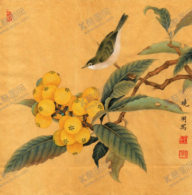 编号：83958110112307113331【酷图网】源文件下载-中式古典花鸟工笔画