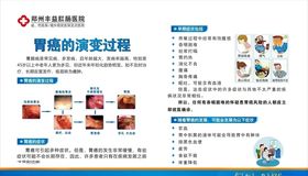 十二生肖象形文字及演变过程