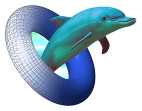 海豚