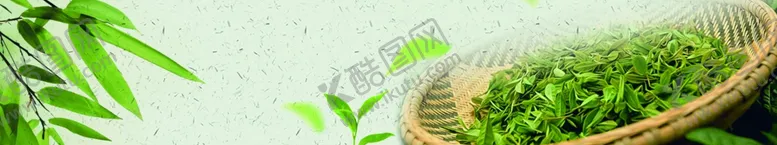 编号：64117306270649147639【酷图网】源文件下载-茶叶背景