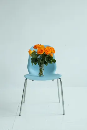 玫瑰摄影花卉绽放花