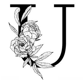 字母