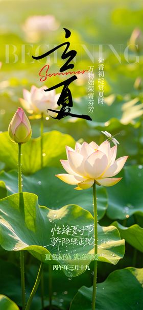 立夏节气海报