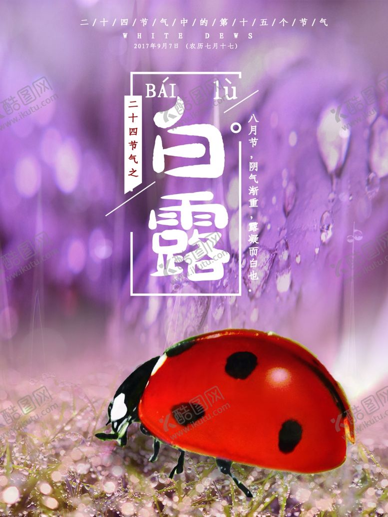 编号：55747109230709499960【酷图网】源文件下载-白露海报