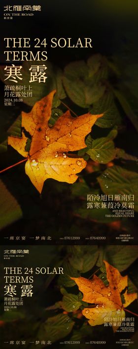 寒露海报珠落叶二十四节气