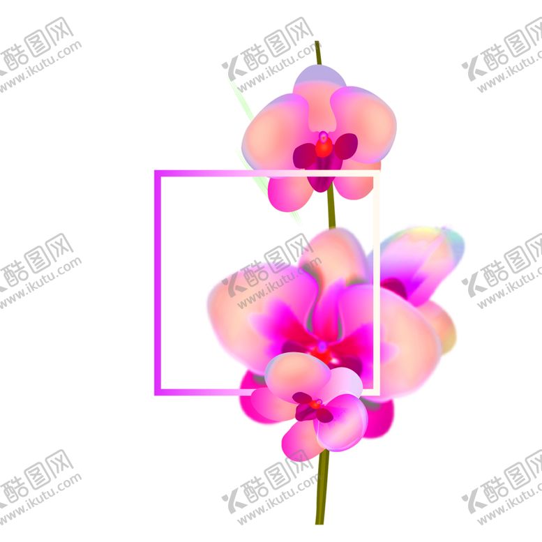 编号：19354905160252247975【酷图网】源文件下载-花素材