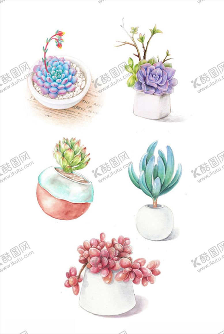 编号：68179010232256371673【酷图网】源文件下载-手绘多肉植物