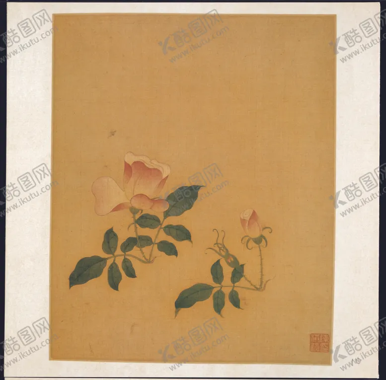 编号：26822710070005485548【酷图网】源文件下载-植物花朵工笔画