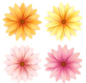 花瓣