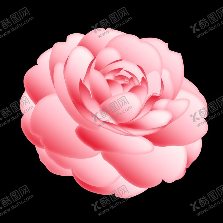 编号：31477107081206464590【酷图网】源文件下载-手绘卡通牡丹花山茶花png插画