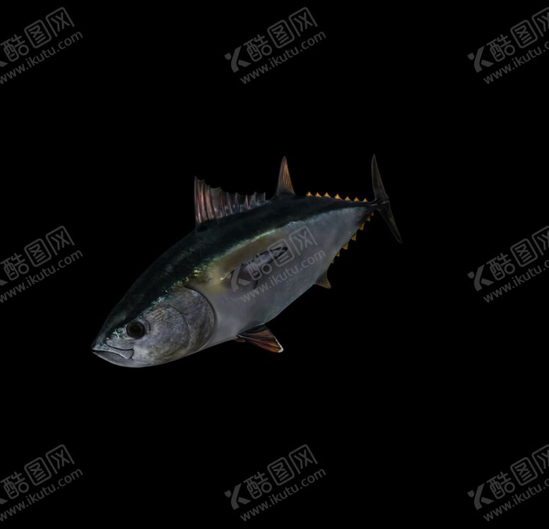 编号：86963007091915085029【酷图网】源文件下载-海洋生物