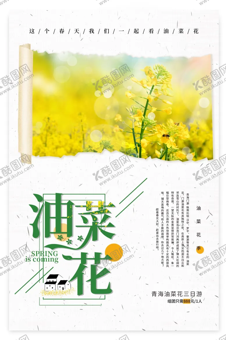 编号：41020003111656555570【酷图网】源文件下载-油菜花高清海报