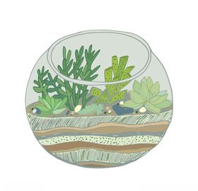 植物手绘