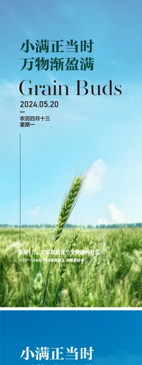 小满海报地产二十四节气麦穗