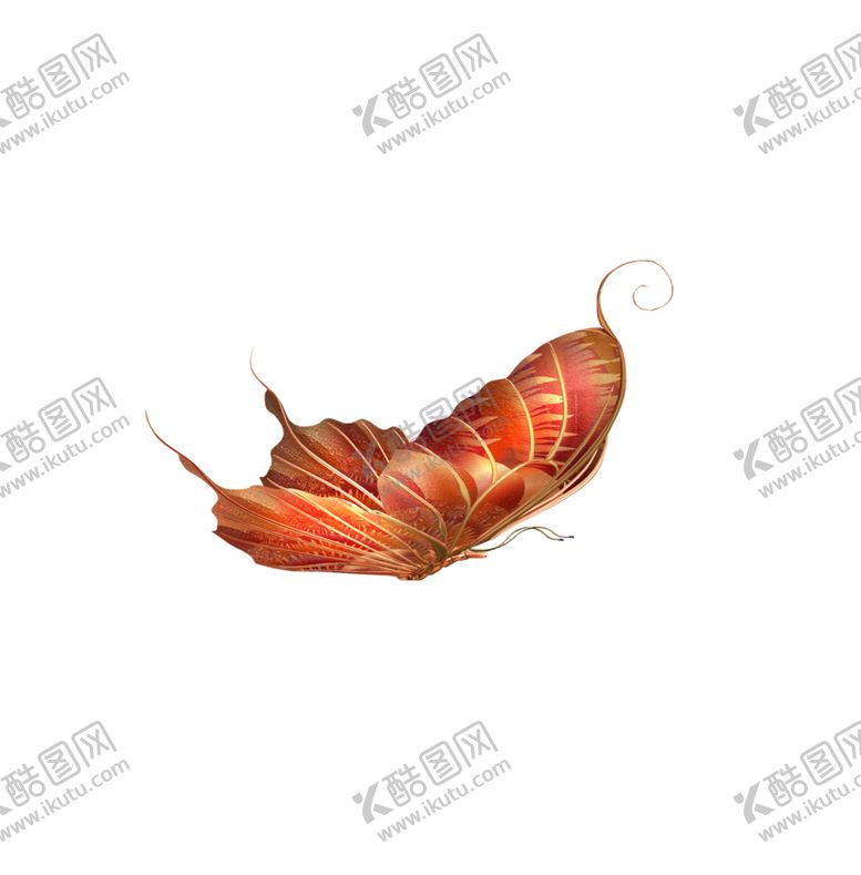 编号：99175509140715368669【酷图网】源文件下载-蝴蝶素材