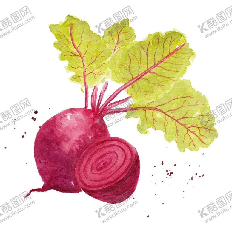 编号：53352409230701112531【酷图网】源文件下载-萝卜