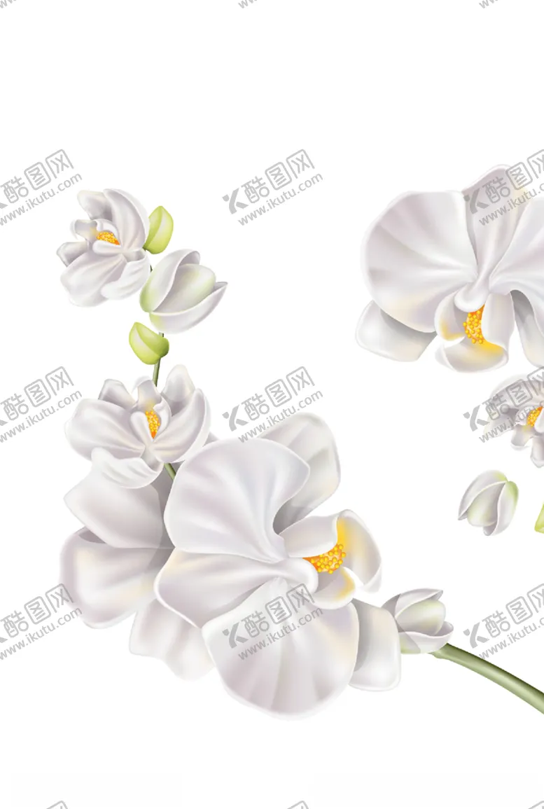 编号：53099009231856341737【酷图网】源文件下载-花朵花卉植物