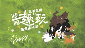 萌宠宠物运动会