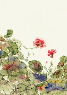 荷花插画海报图片展架展板节