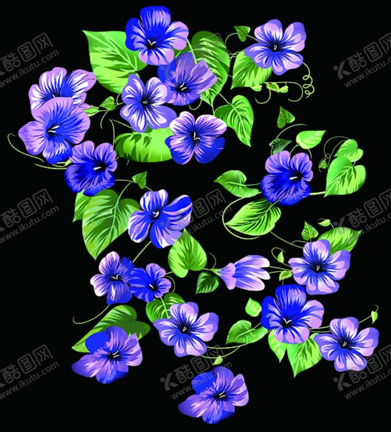 编号：79692109280057228985【酷图网】源文件下载-手绘花牵牛花