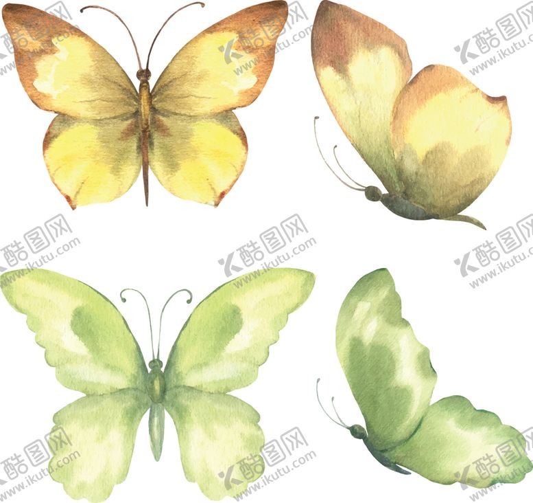 编号：61708409301809131860【酷图网】源文件下载-水彩蝴蝶