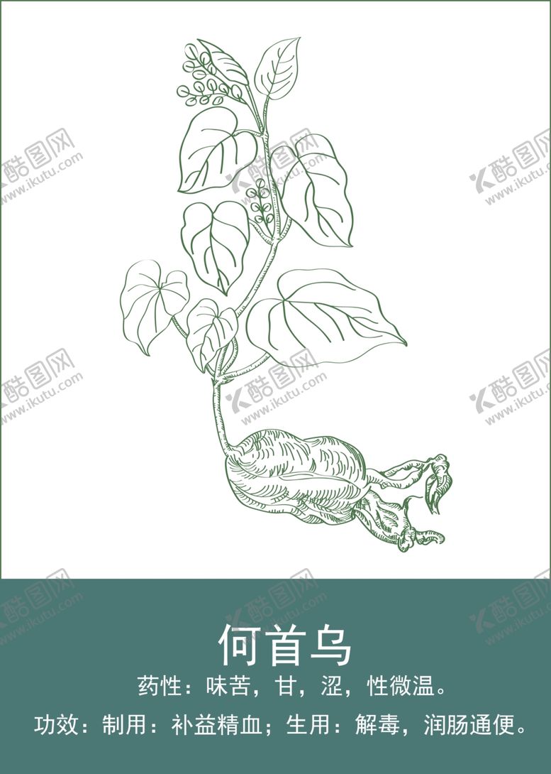 编号：11243301140930122600【酷图网】源文件下载-中药手绘插画
