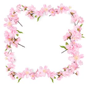 粉色鲜花边框