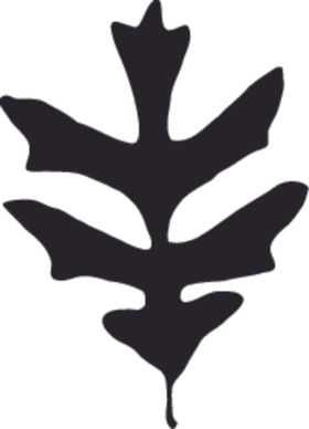 植物系列树叶