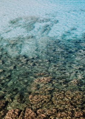 浅海海底风景