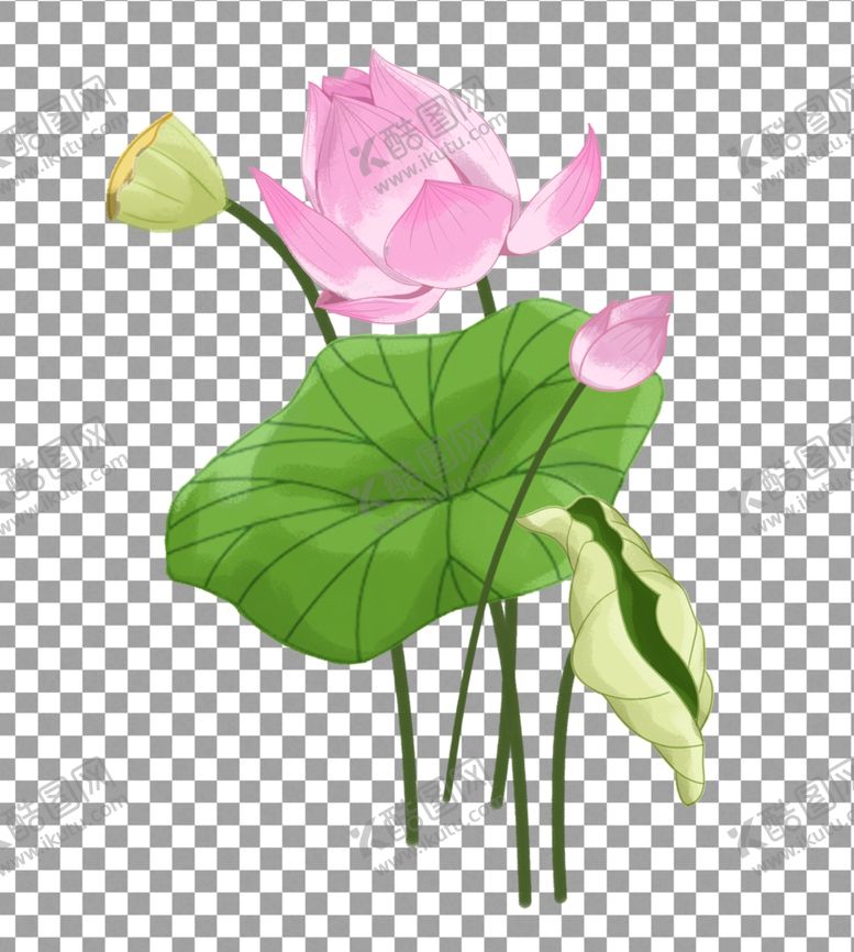 编号：86603109260927403647【酷图网】源文件下载-透明底荷花
