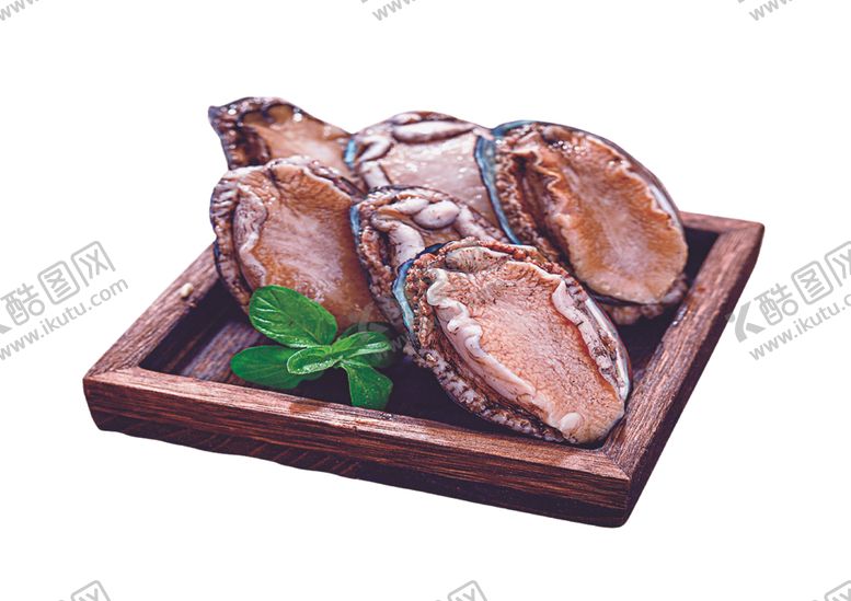 编号：43719509262045437433【酷图网】源文件下载-鲍鱼