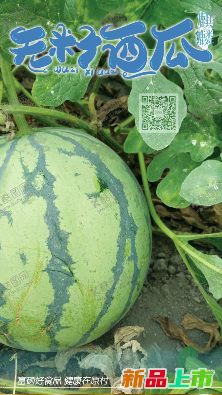 编号：38141006240924486193【酷图网】源文件下载-无籽西瓜新媒宣