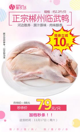 正宗郴州临武鸭秒杀
