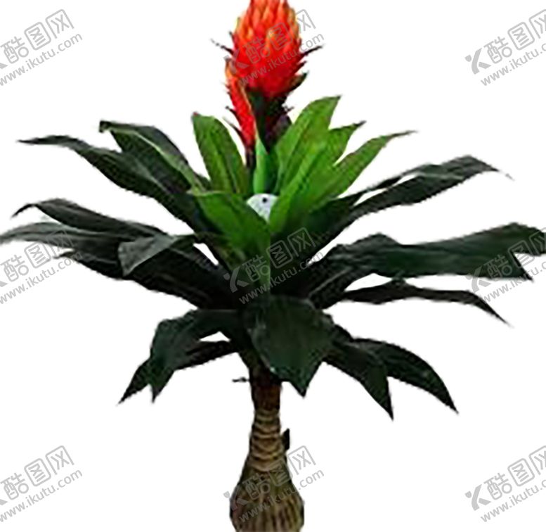 编号：21979909190050112207【酷图网】源文件下载-绿色植物