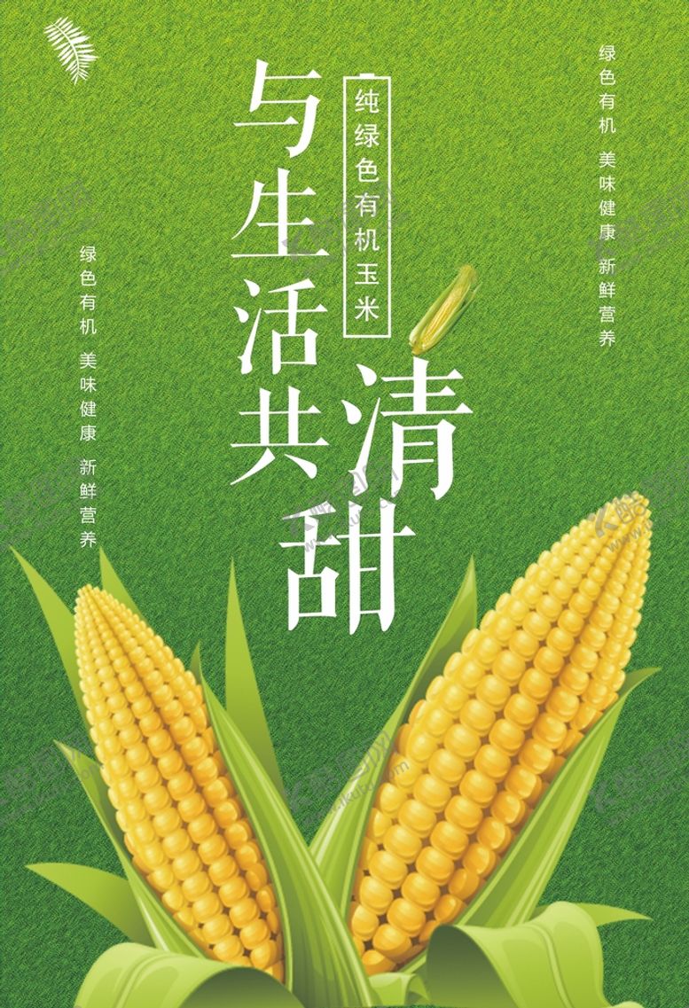 编号：63251010080036228710【酷图网】源文件下载-玉米海报