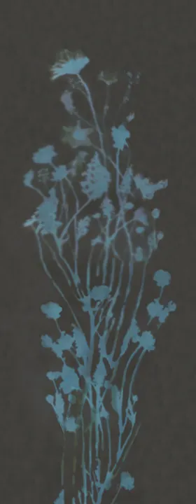数码印花